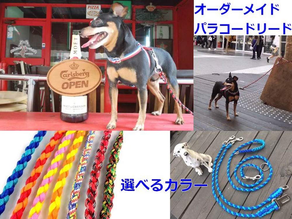 Amazon | ペットリード 多頭散歩時追加用 ショートリード Amazon | ペットリード 多頭散歩時追加用 ショートリード